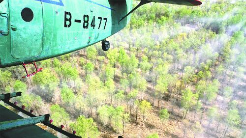 4月14日，一架農(nóng)用飛機(jī)在第一師10團(tuán)防風(fēng)林帶上空噴灑殺蟲(chóng)劑。自4月上旬以來(lái)，兵團(tuán)對(duì)葉爾羌河、塔里木河流域的第一師、第二師和第三師的35萬(wàn)畝野生胡楊林和人工林實(shí)施飛防，有效控制食葉害蟲(chóng)對(duì)野生胡楊林和人工林的危害。 王志清攝
